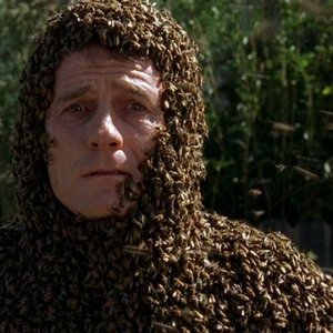 1x14 The Bots and the Bees