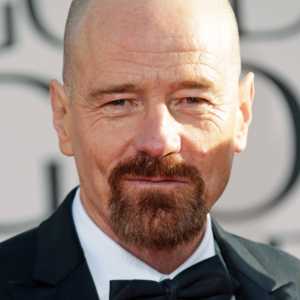 Golden Globes 2013