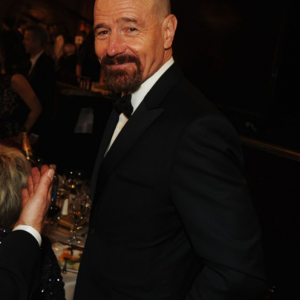 Golden Globes 2013