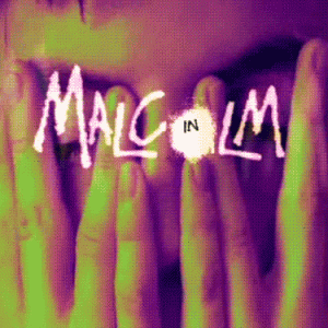 Malcom_in_the_Middle_theme_song
