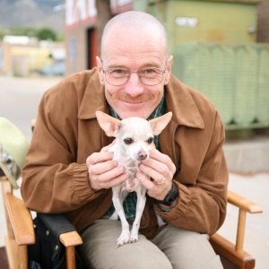 Bryan Cranston Breaking Bad - Season 2 behind the scenes