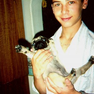 Justin Berfield with one of his pugs