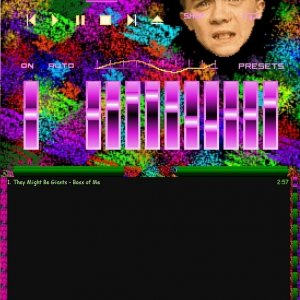 Winamp music player classic skin for 'Malcolm in the Middle'