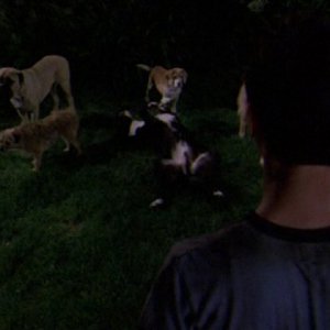 6x19 Motivational Seminar