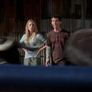 7x20 Cattle Court