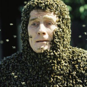 1x14 The Bots And The Bees still