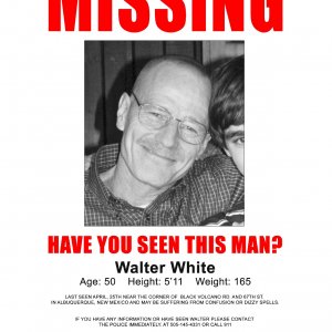 Bryan Cranston - Breaking Bad - Season 2 - Walt Missing Poster