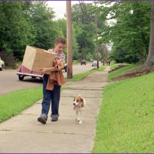 Frankie Muniz in 'My Dog Skip' (2000)