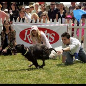 Justin Berfield : New Leash On Life's 5th Annual Nuts For Mutts Dog Show