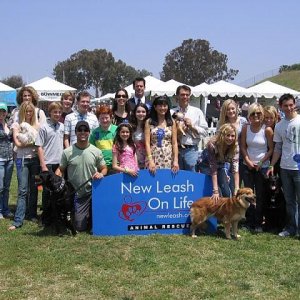 Justin Berfield : New Leash On Life's 5th Annual Nuts For Mutts Dog Show