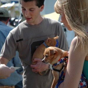 Justin Berfield at New Leash On Life's 4th Annual Nuts For Mutts Dog Show