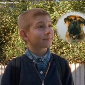 3x17 Dewey's Dog