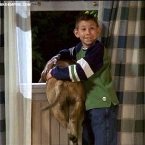 3x17 Dewey's Dog