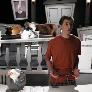 7x20 Cattle Court still