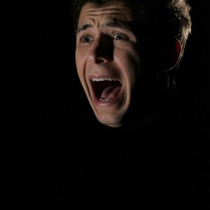 7x20 Cattle Court still