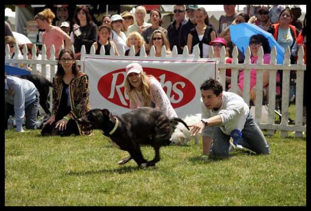 Justin Berfield : New Leash On Life's 5th Annual Nuts For Mutts Dog Show